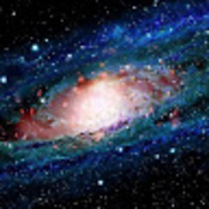 Meet your Posher, Alina